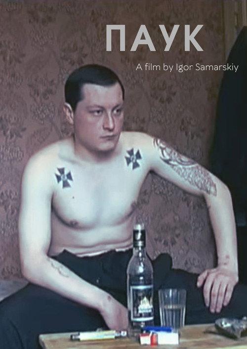 Паук backdrop