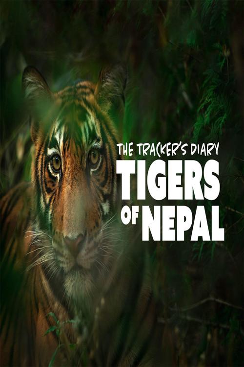 The Trackers Diary Tigers Of Nepal backdrop