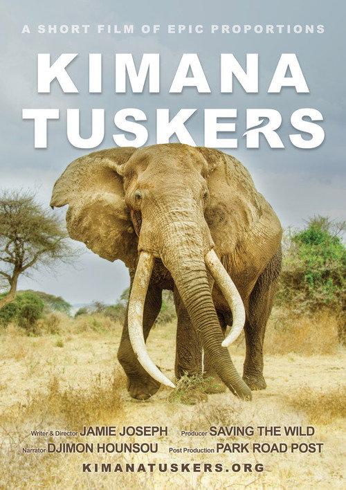 Kimana Tuskers backdrop