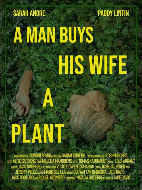 A Man Buys His Wife A Plant backdrop