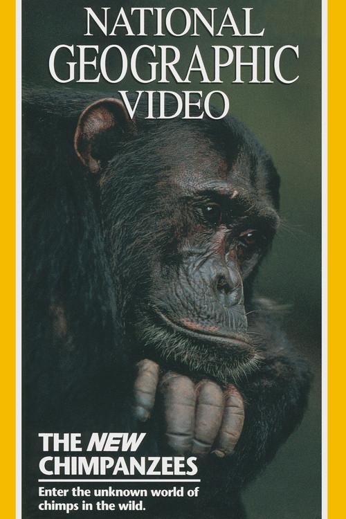 The New Chimpanzees backdrop