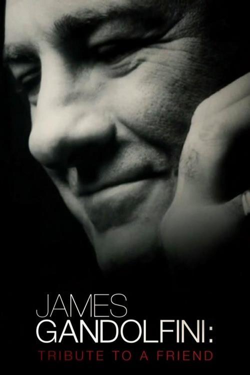 James Gandolfini: Tribute to a Friend backdrop