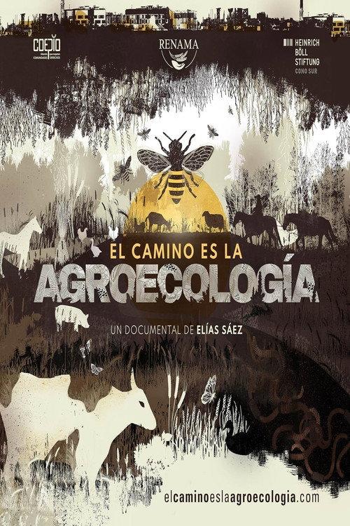 The way is agroecology backdrop