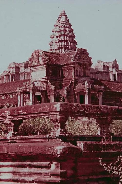 Angkor — SOS in the jungle backdrop