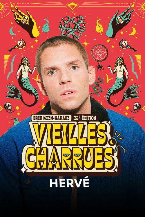 Hervé en concert aux Vieilles Charrues 2024 backdrop
