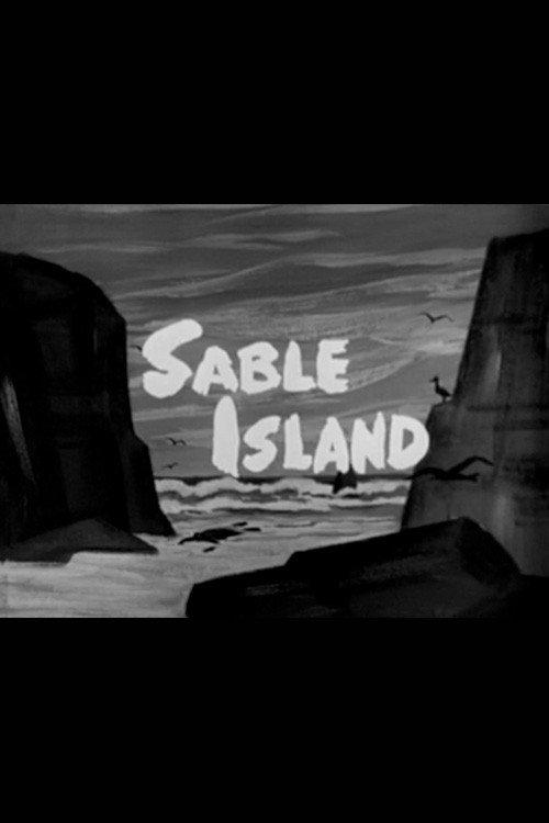 Sable Island backdrop