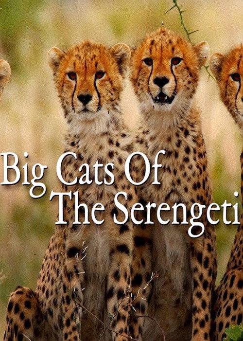 Big Cats of the Serengeti backdrop