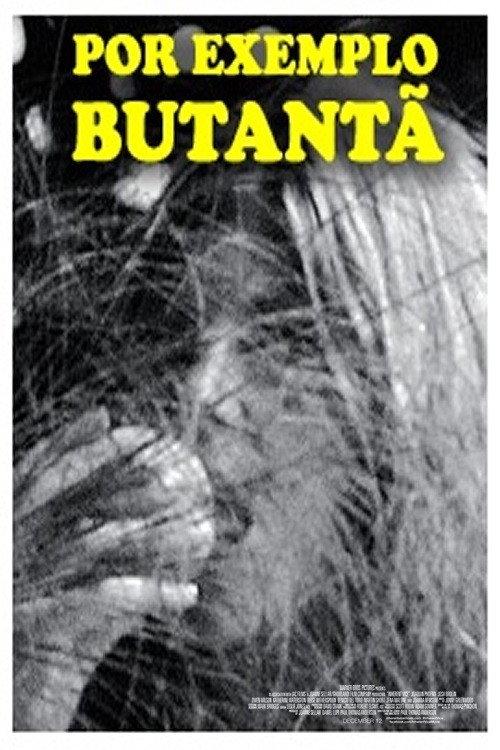 Por Exemplo Butantã backdrop