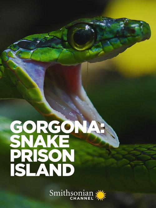 Gorgona: Snake Prison Island backdrop