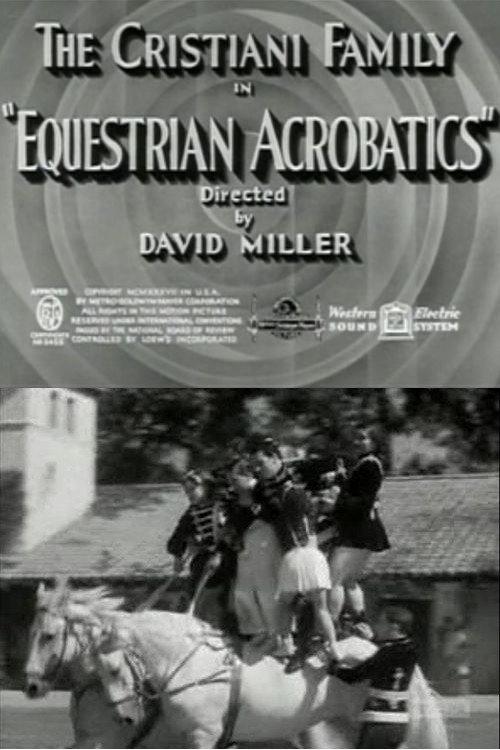 Equestrian Acrobats backdrop