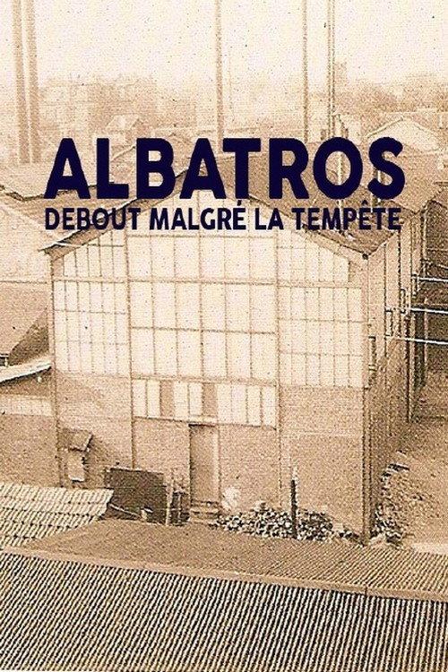 Albatros, debout malgré la tempête backdrop