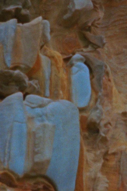 Ancestral Bone backdrop