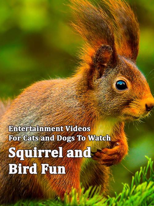 Squirrel and Bird Fun backdrop