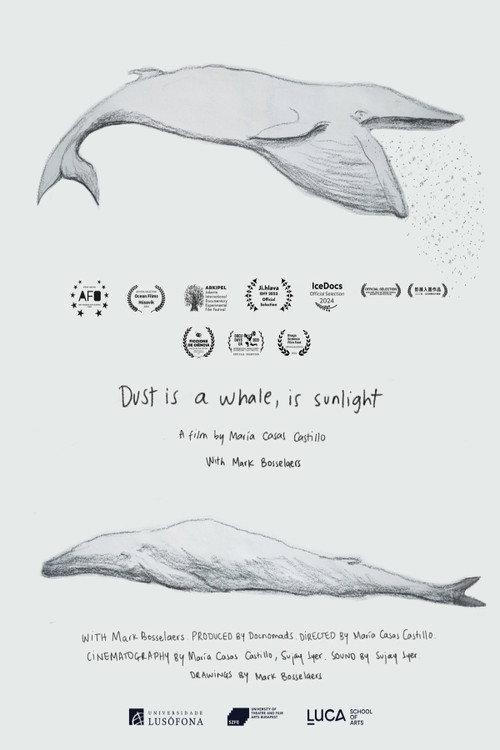 Dust is a Whale, is Sunlight backdrop
