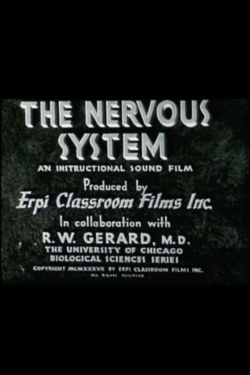 The Nervous System backdrop