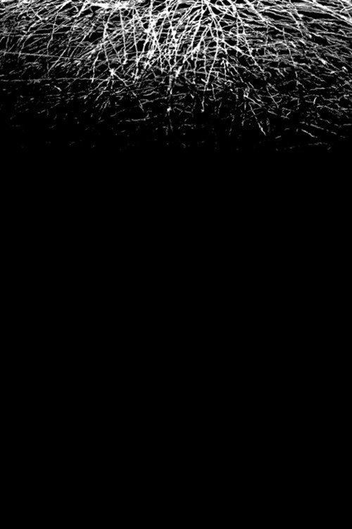 For When I Think, There is This Heaviness That I Would Rather You Not Carry backdrop