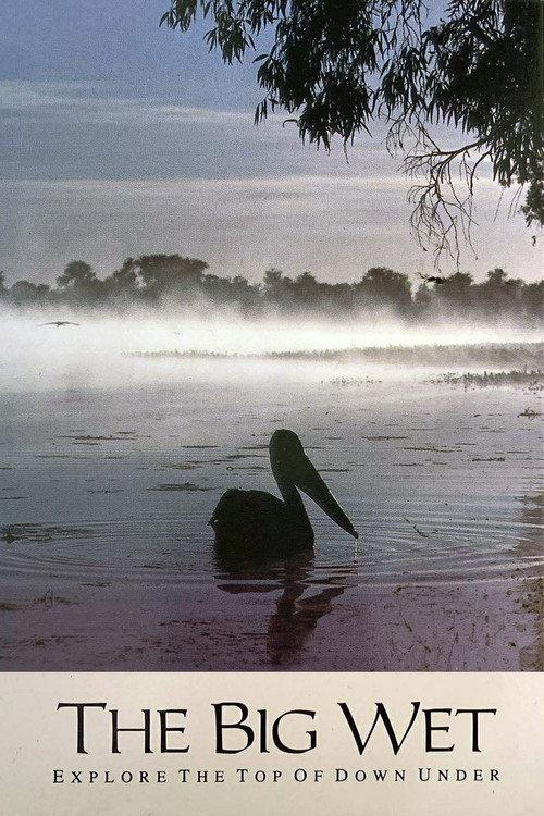 The Big Wet backdrop