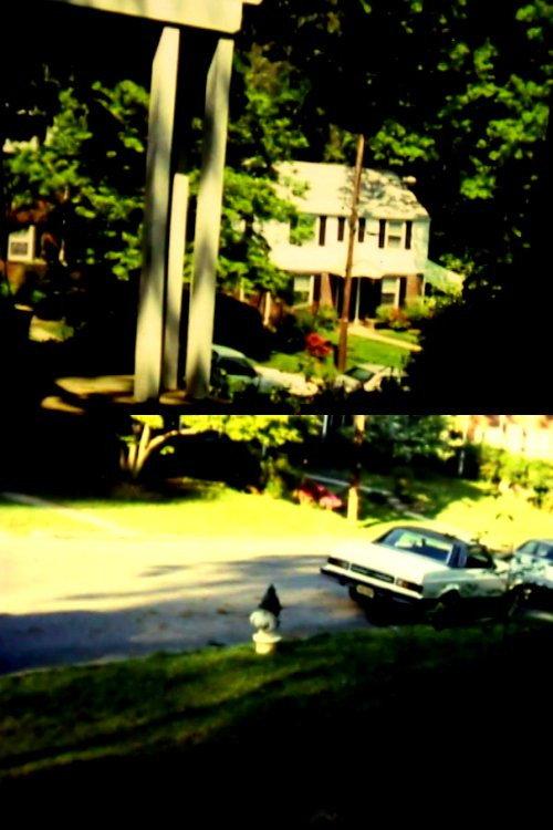 DC '82 Home backdrop