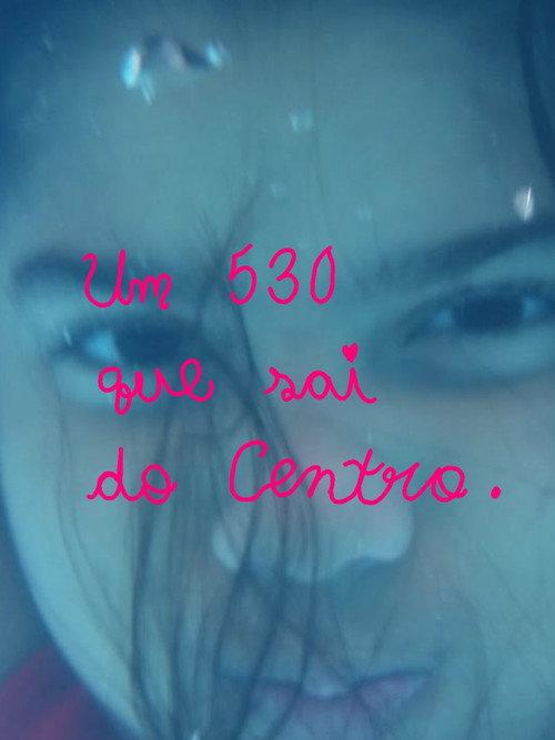 Um 530 que sai do Centro. backdrop