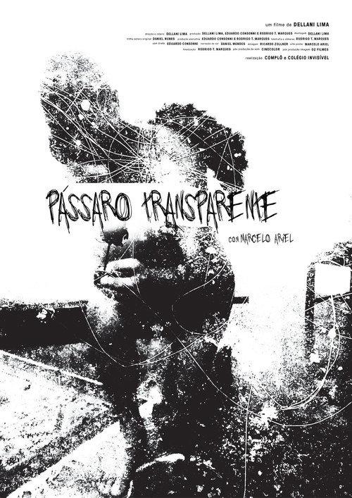 Pássaro Transparente backdrop