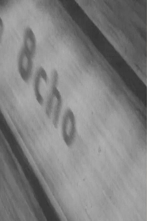 8cho backdrop