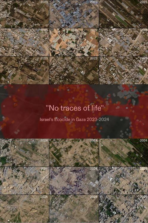 No Traces of Life backdrop
