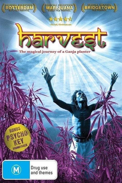 Harvest backdrop