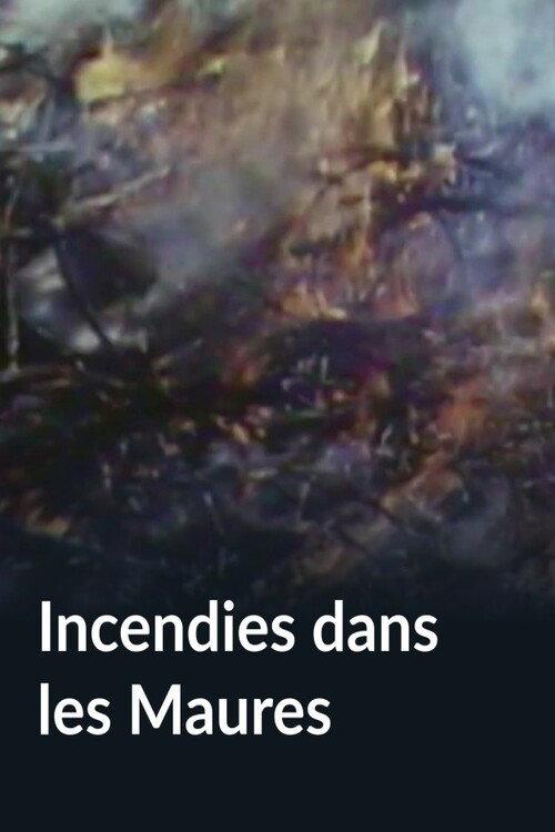 Incendies dans les Maures backdrop