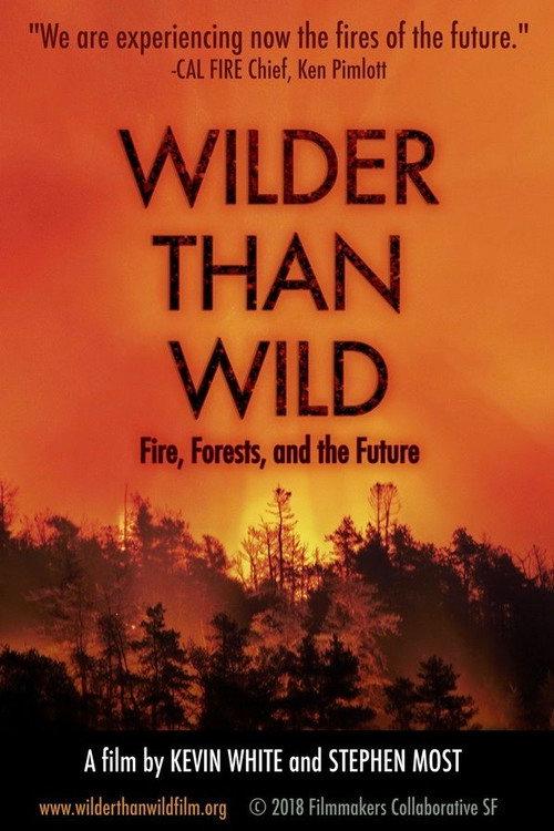 Wilder than Wild: Fire, Forests, and the Future backdrop