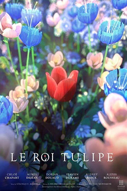 The Tulip King backdrop