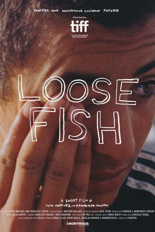 Loose Fish backdrop