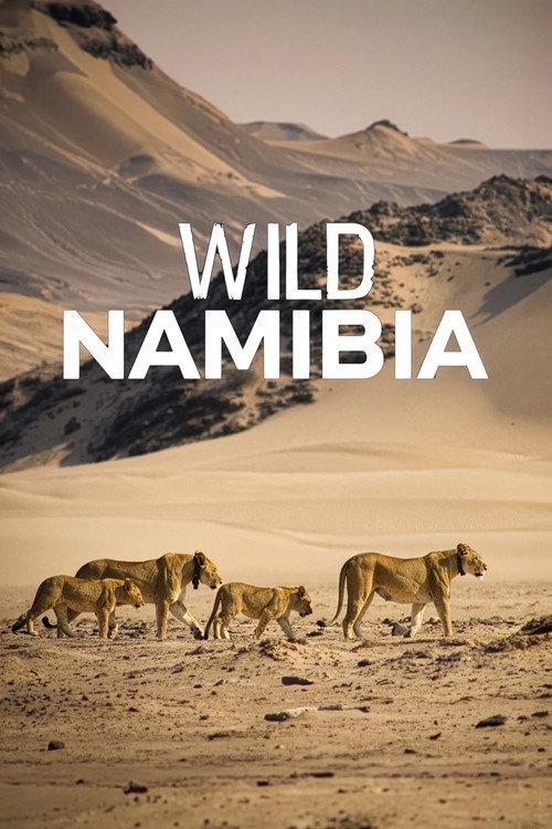 Wild Namibia backdrop