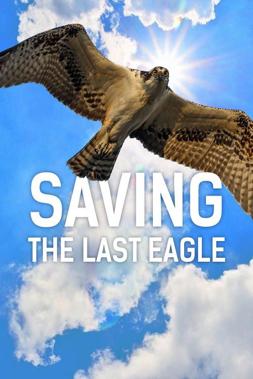 Saving The Last Eagle backdrop