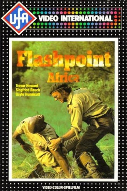 Flashpoint Africa backdrop