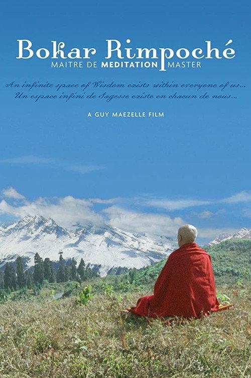 Bokar Rimpoche: Meditation Master backdrop