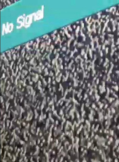 No Signal backdrop