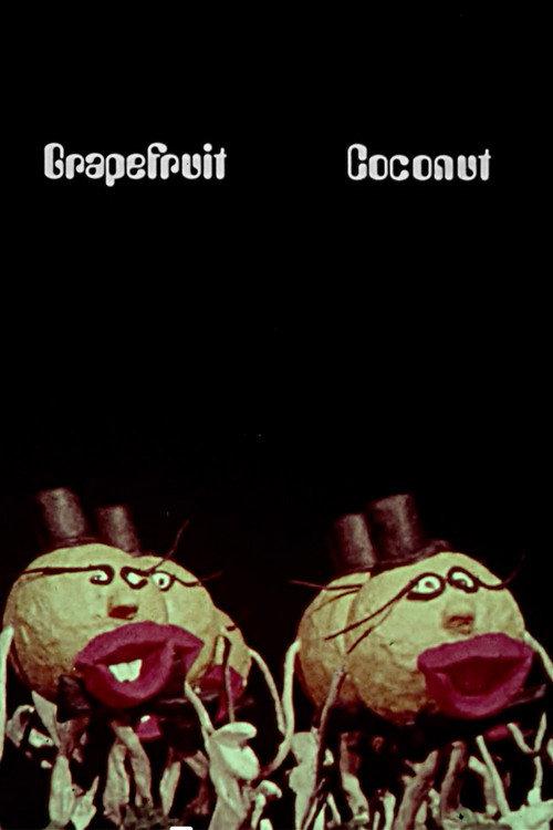 Grapefruits and Coconuts backdrop
