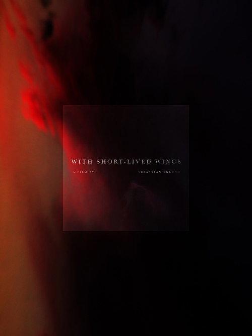 With Short-Lived Wings backdrop