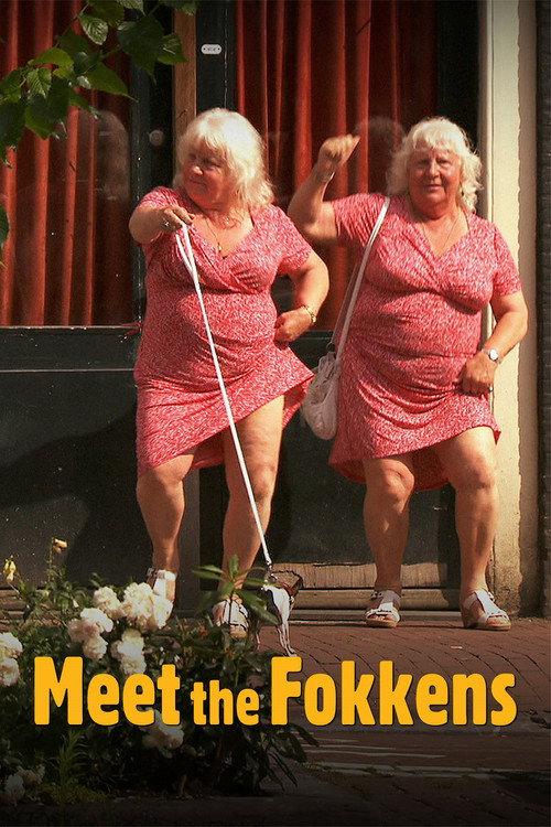 Meet the Fokkens backdrop