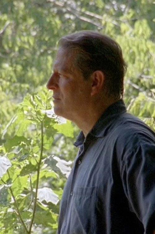 Untitled Al Gore Documentary backdrop