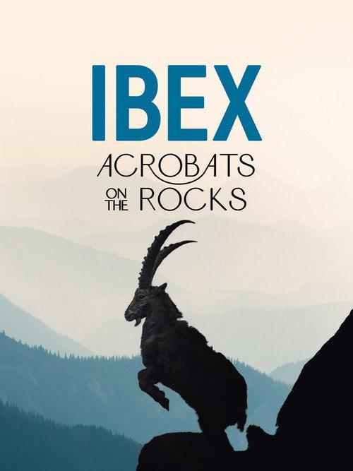 Ibex: Acrobats on the Rocks backdrop