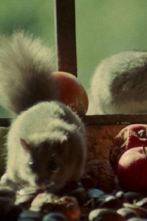 Dormouse backdrop