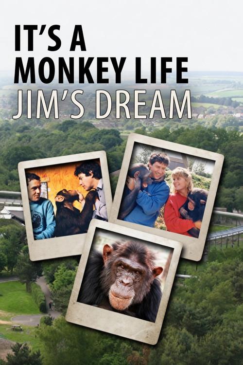 It's a Monkey Life: Jim's Dream backdrop