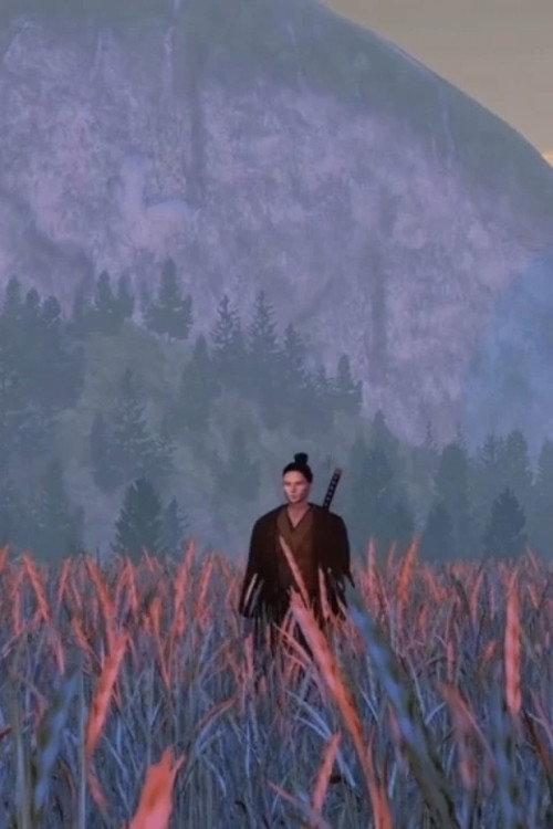 Samuraï backdrop