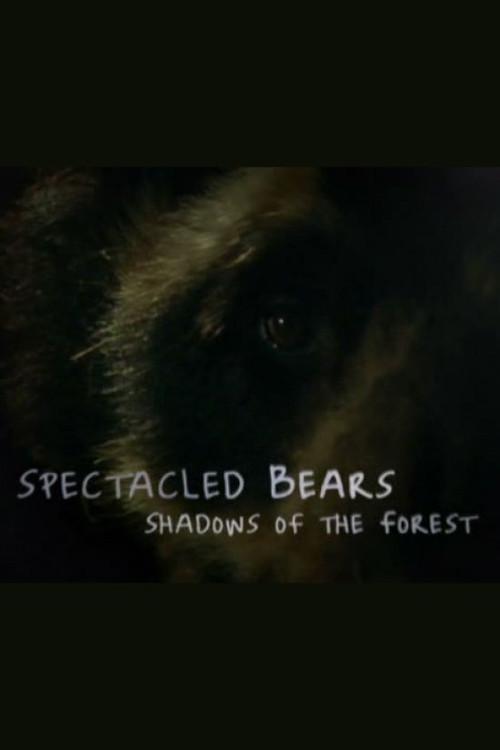 Spectacled Bears: Shadows of the Forest backdrop