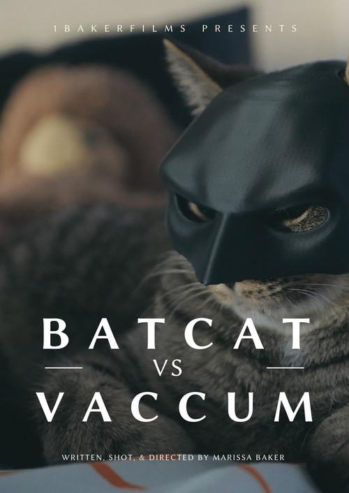 BatCat vs Vacuum backdrop