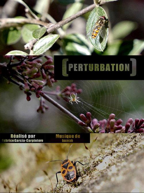 Perturbation backdrop