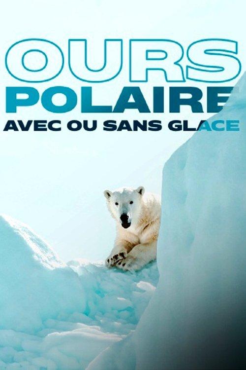 Face to Face with the Polar Bear backdrop
