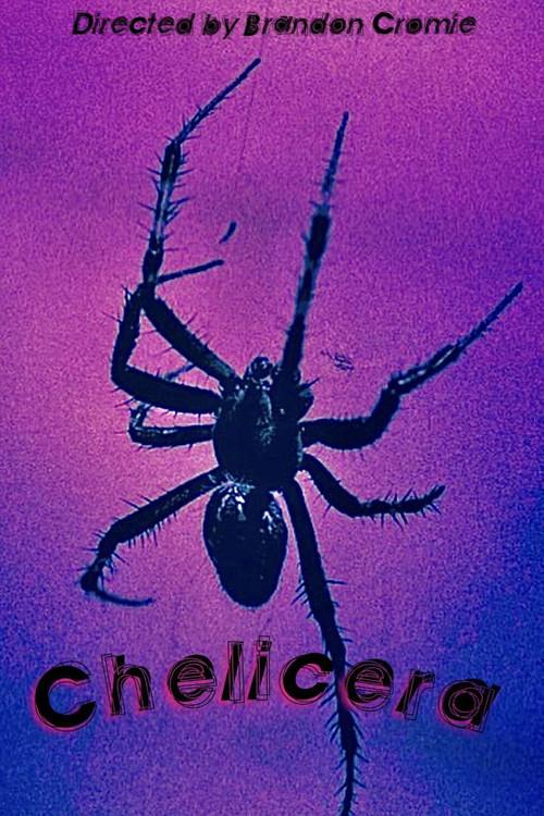 Chelicera backdrop