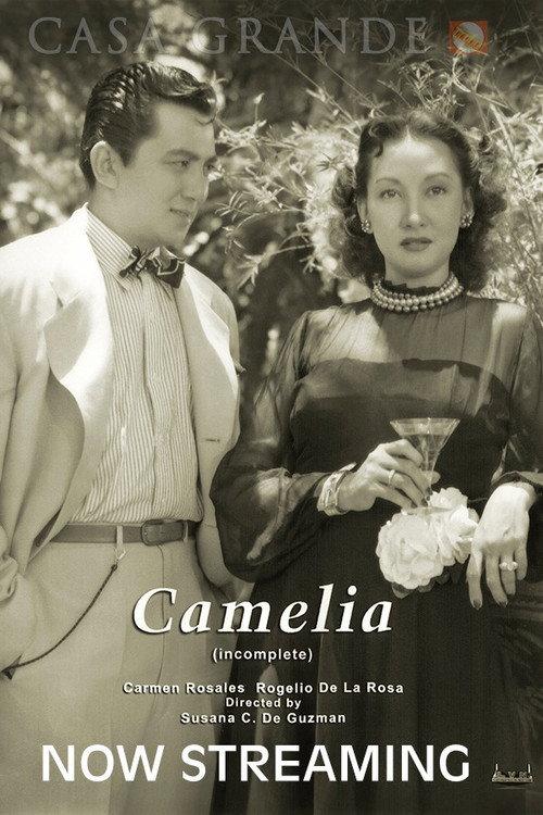 Camelia backdrop